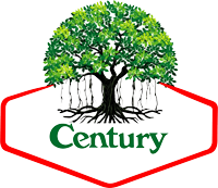 Century